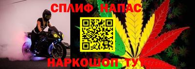 прущие крисы Канаш