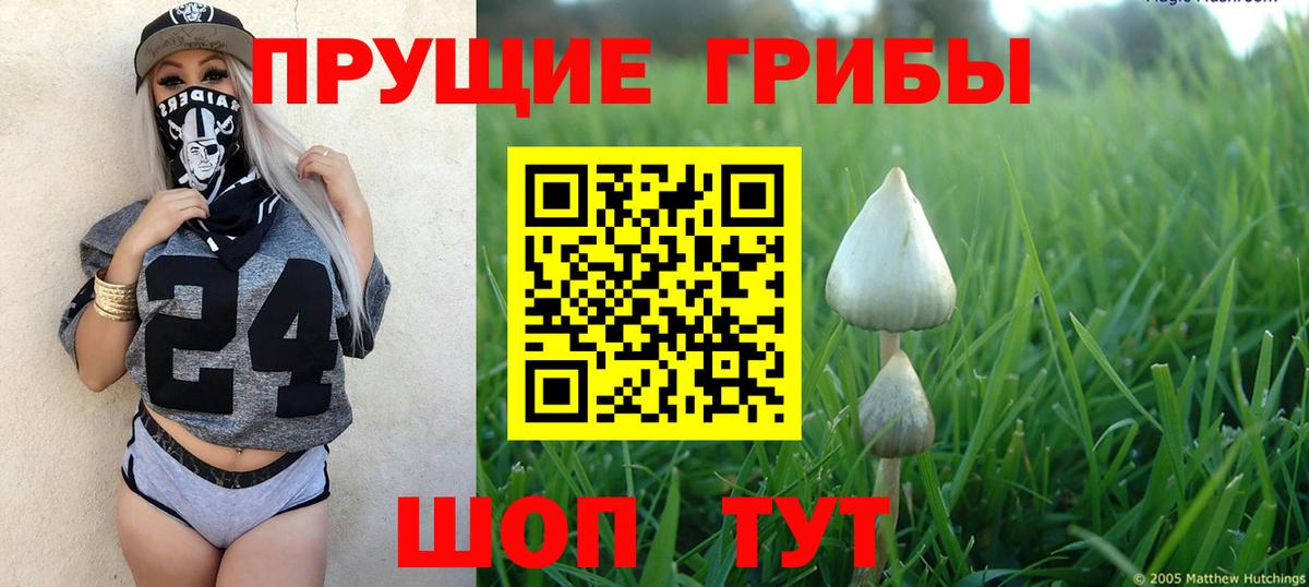 Алапаевск  Галлюциногенные грибы MAGIC MUSHROOMS  Вход с VPN 